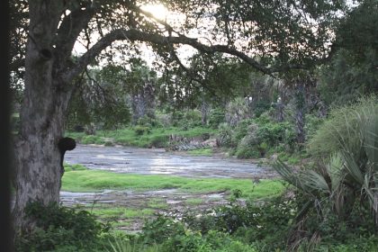 Katavi National Park
