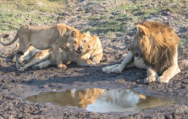 Katavi National Park