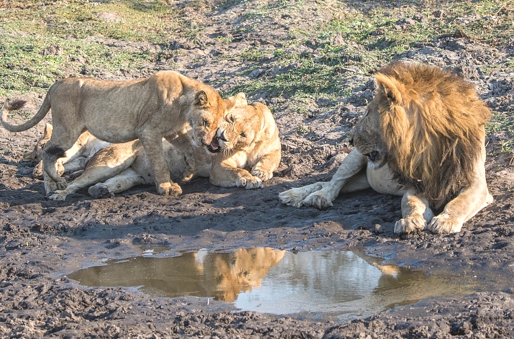 Katavi National Park