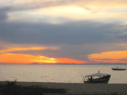 Mikumi National Park