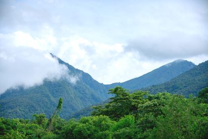 Mikumi National Park