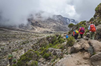 Mount_Kilimanjaro_11