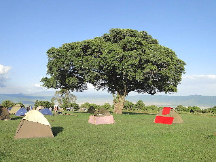 Ngorongoro Simba Camp