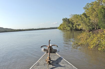 Mikumi National Park