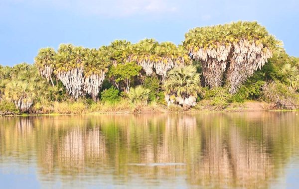 Selous Game Reserve