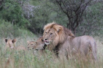 Tarangire National Park