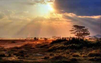 serengeti 2a