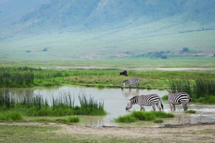 ngorongoro 2 (4)